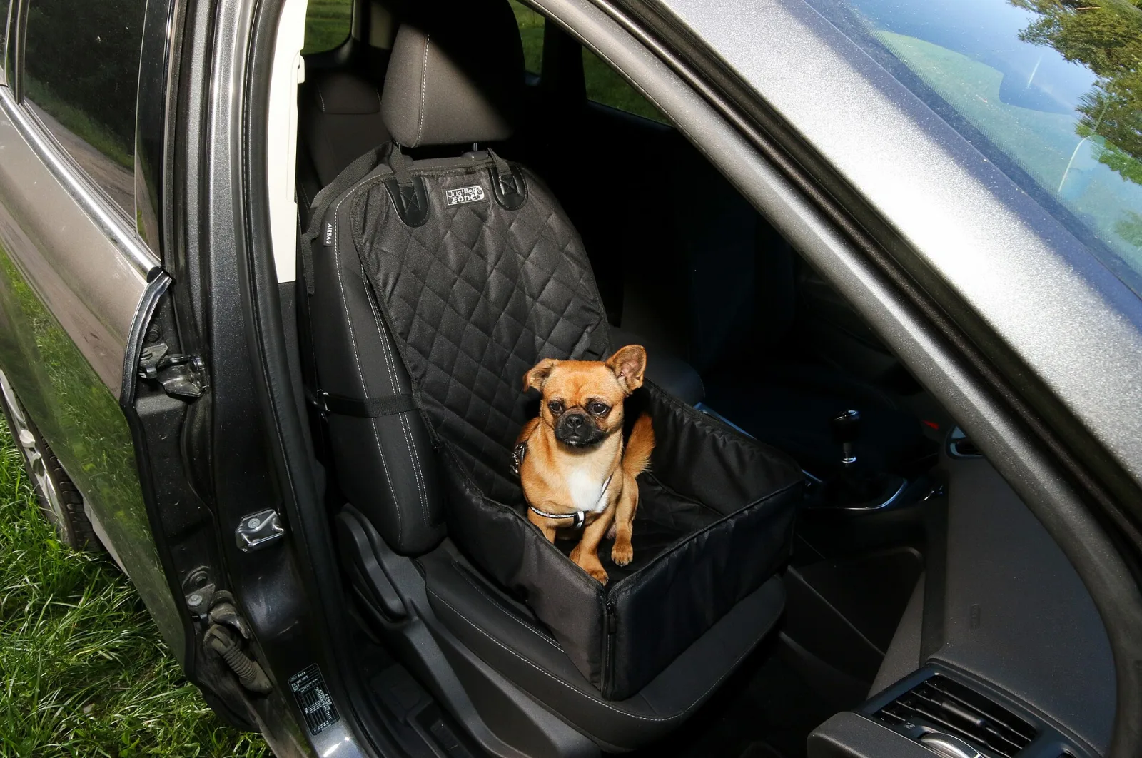Traveling with Pets by Car: A Safety-First Guide