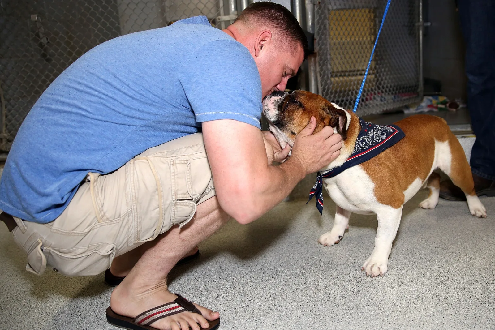 Choosing the Right Pet for Your Lifestyle: A Honest Guide
